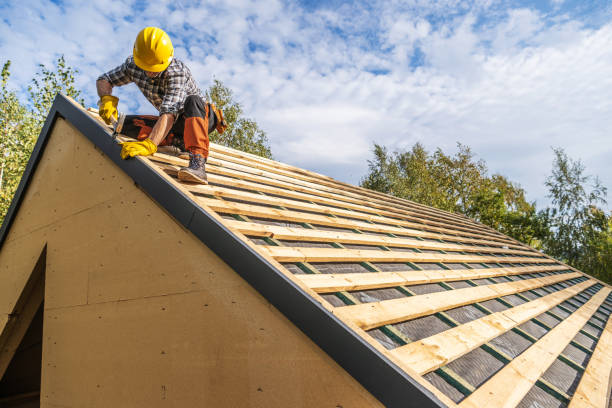 Best Roof Gutter Cleaning  in Queensland, MD